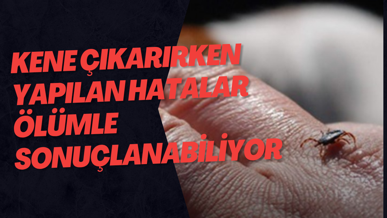 Kene Çıkarırken Yapılan Hatalar Ölümle Sonuçlanabiliyor