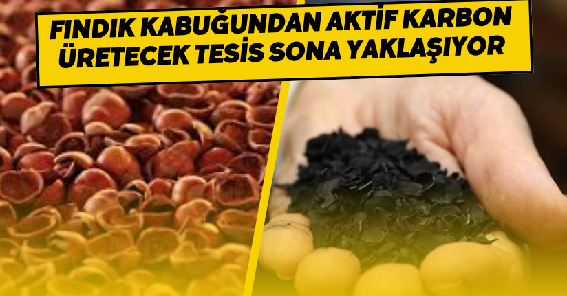 Fındık kabuğundan aktif karbon üretecek tesis sona yaklaşıyor