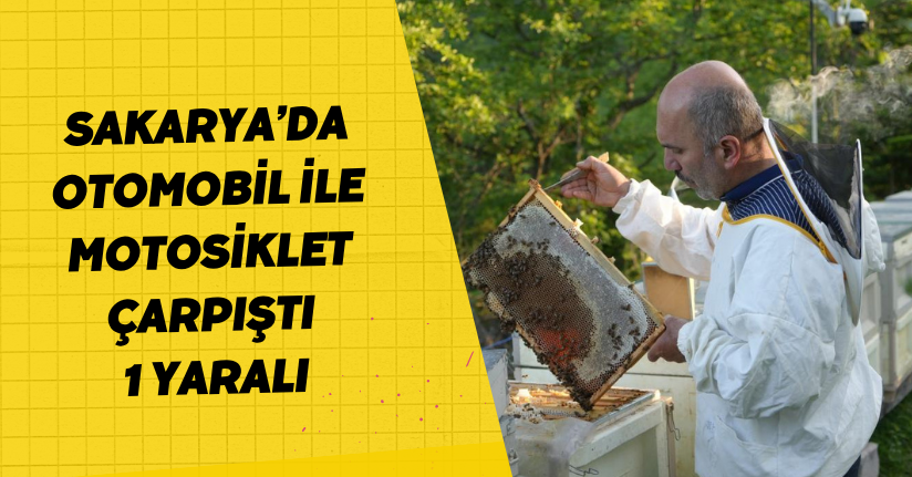 Filmlere konu olan deli balda üretim sezonu sürüyor