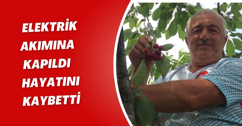 Elektrik akımına kapıldı, hayatını kaybetti