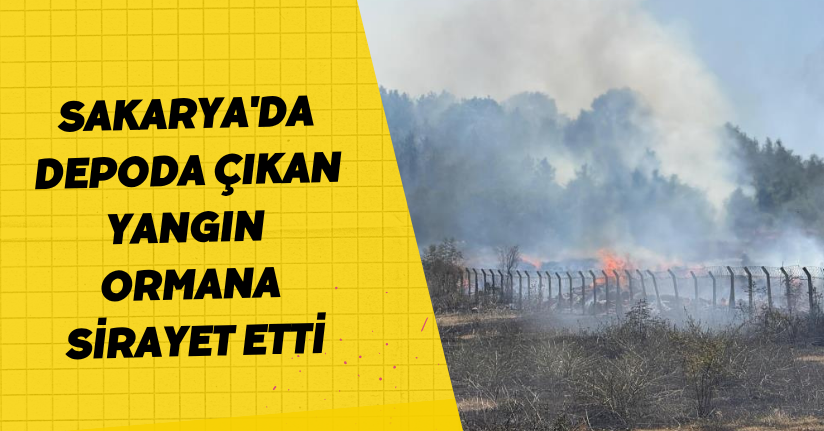  Sakarya'da depoda çıkan yangın ormana sirayet etti