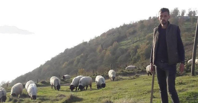 Gümüşhane'de kenenin ısırdığı çoban öldü