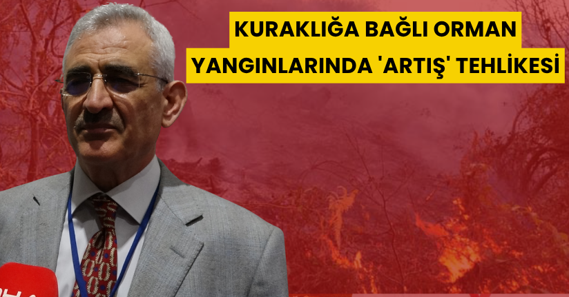 Kuraklığa bağlı orman yangınlarında 'artış' tehlikesi
