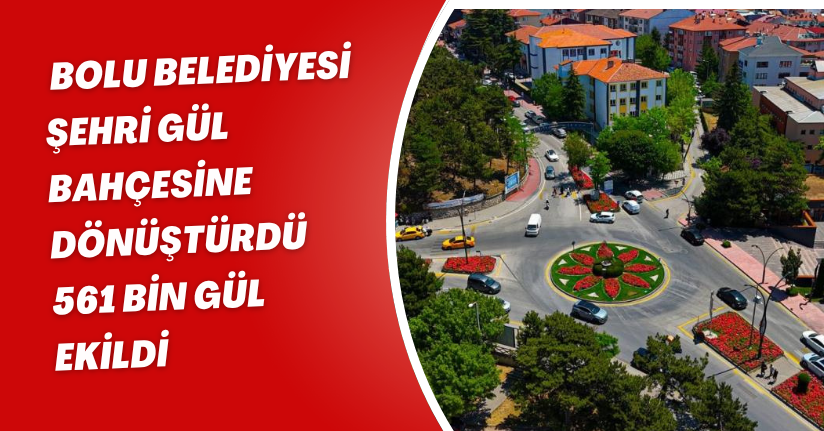 Bolu Belediyesi şehri gül bahçesine dönüştürdü: 561 bin gül ekildi
