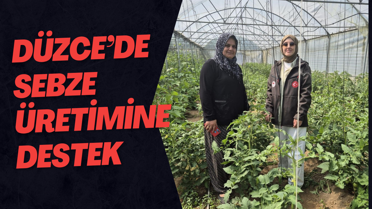 Düzce’de Sebze Üretimine Destek