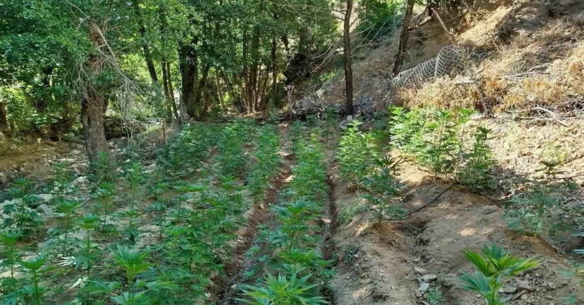 Bingöl’de uyuşturucu operasyonu