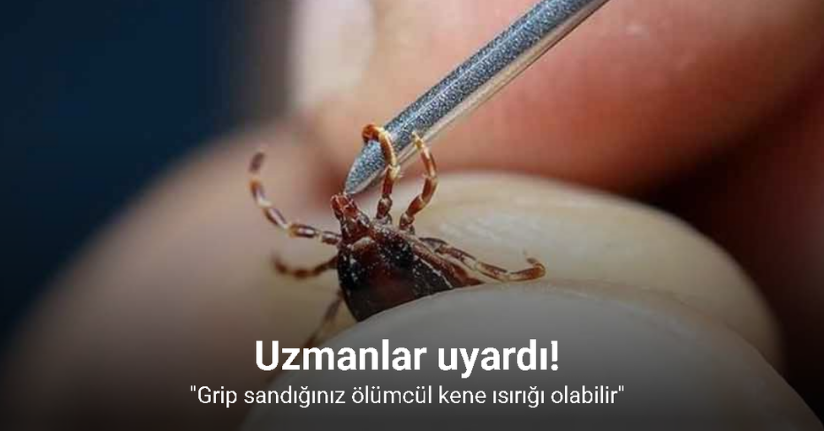 Uzmanlar uyardı: