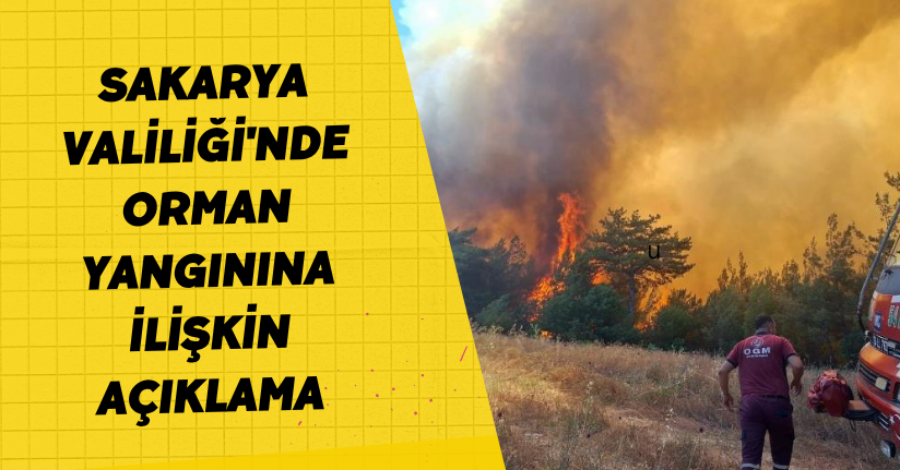 Sakarya Valiliği'nden orman yangınına ilişkin açıklama