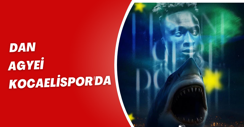 Dan Agyei, Kocaelispor'da