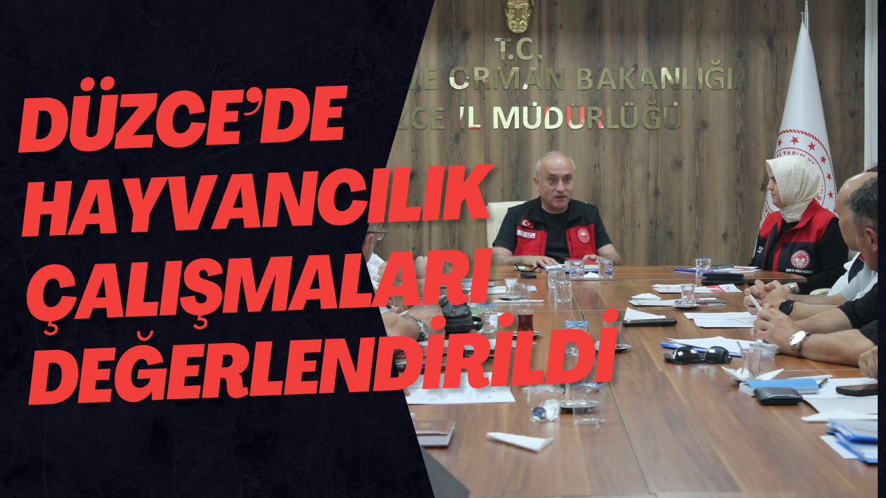 Hayvancılıkta Üretim Ve Verimlilik Düzce'de Masaya Yatırıldı