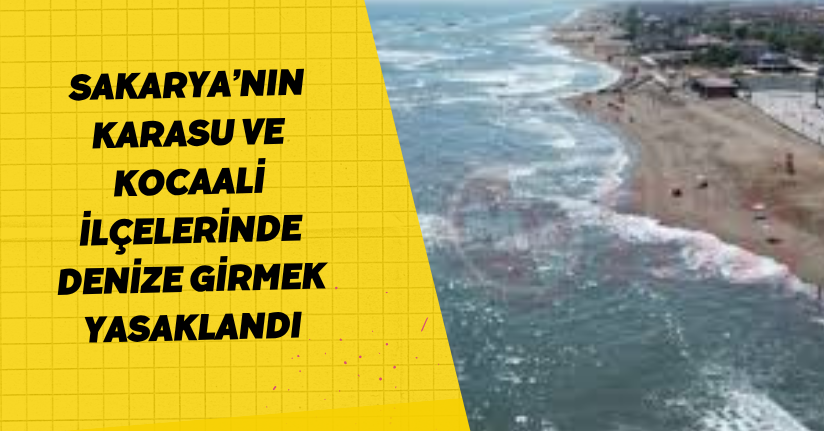 Sakarya’nın Karasu ve Kocaali ilçelerinde denize girmek yasaklandı