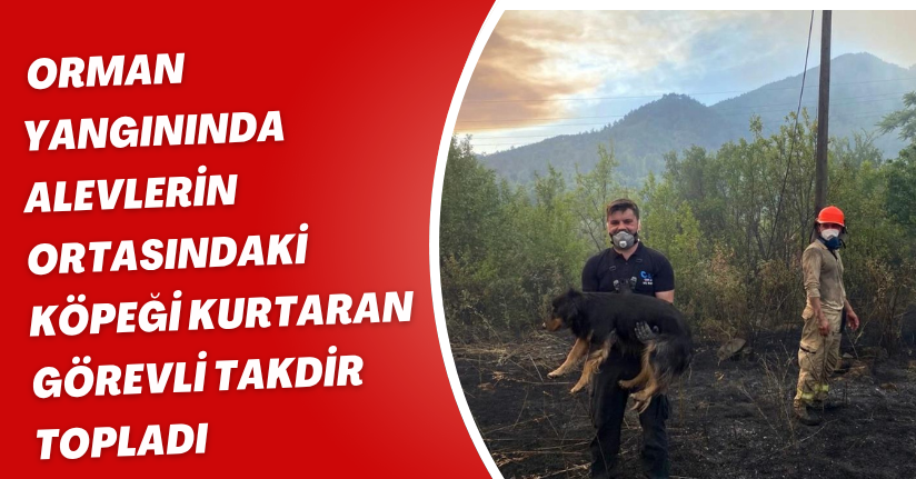 Orman yangınında alevlerin ortasındaki köpeği kurtaran görevli takdir topladı