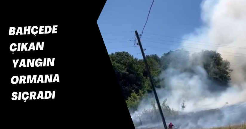 Bahçede çıkan yangın ormana sıçradı