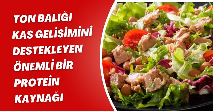 Ton balığı kas gelişimini destekleyen önemli bir protein kaynağı