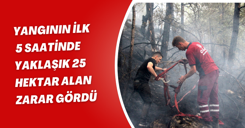 Yangının ilk 5 saatinde yaklaşık 25 hektar alan zarar gördü