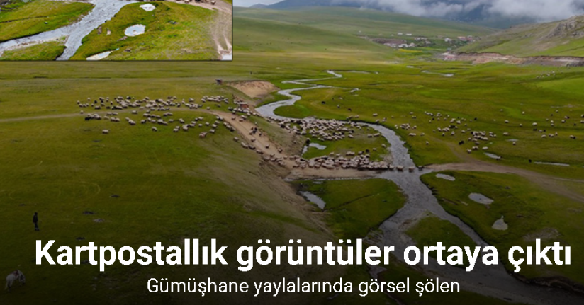 Gümüşhane yaylalarında görsel şölen