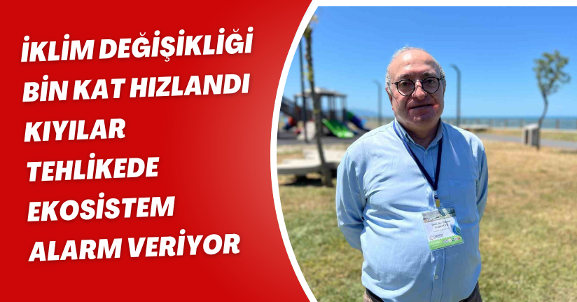 İklim değişikliği bin kat hızlandı: Kıyılar tehlikede, ekosistem alarm veriyor