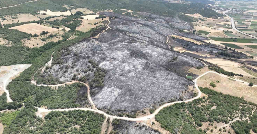 Bursa’daki yangınlarda 65 hektar küle döndü