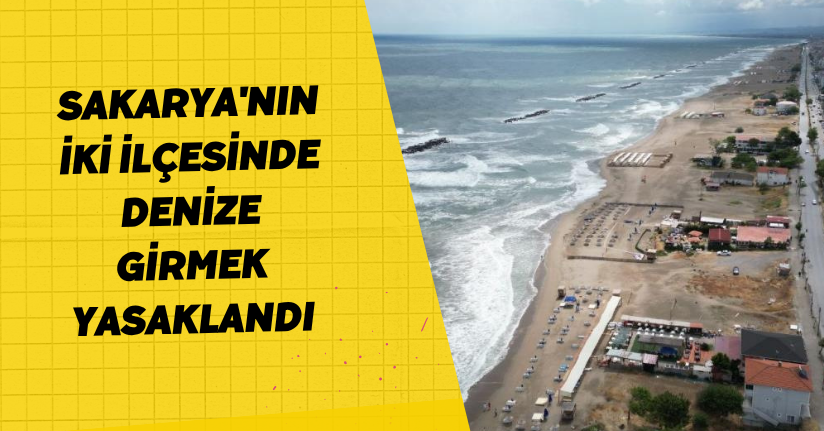 Sakarya'nın iki ilçesinde denize girmek yasaklandı