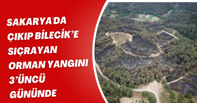 Sakarya'da Çıkıp Bilecik’e Sıçrayan Orman Yangını 3’üncü Gününde