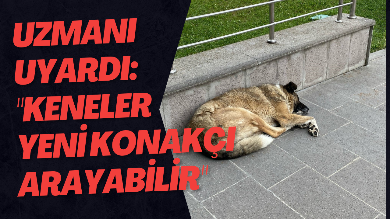 Uzmanı Uyardı: 