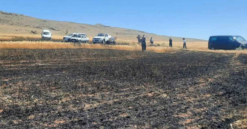 Husumetlisinin tarlasını yaktı, 100 dönüm ekili alan küle döndü
