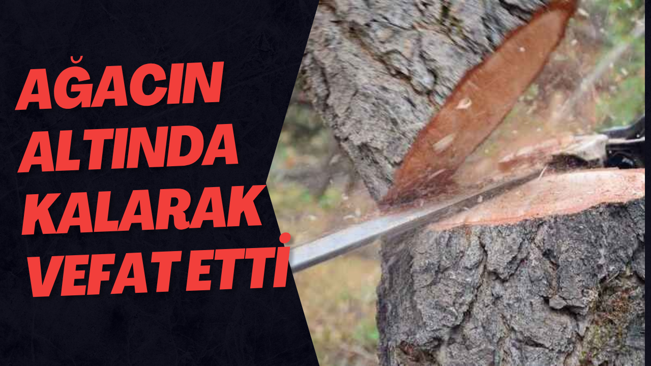 Ağacın Altında Kalarak Vefat Etti