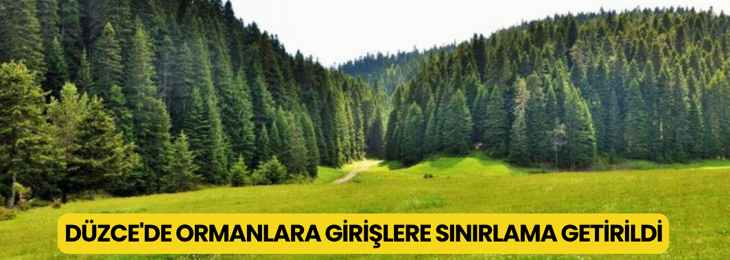 Düzce'de Ormanlara Girişlere Sınırlama Getirildi