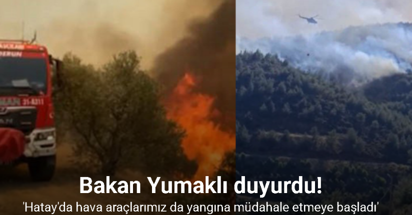 Bakan Yumaklı: 