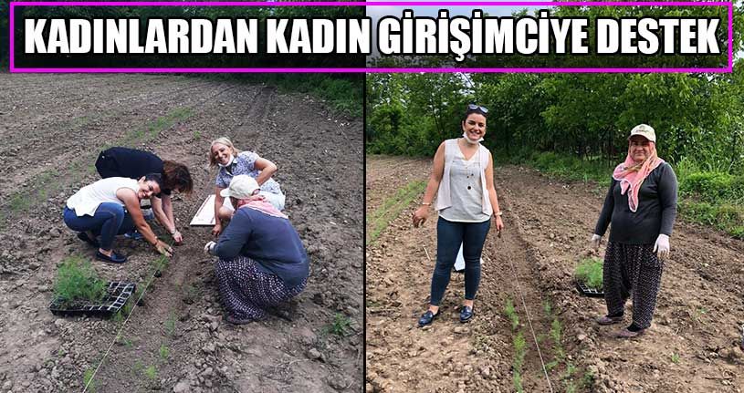 Kadınlardan Kadın Girişimciye Destek