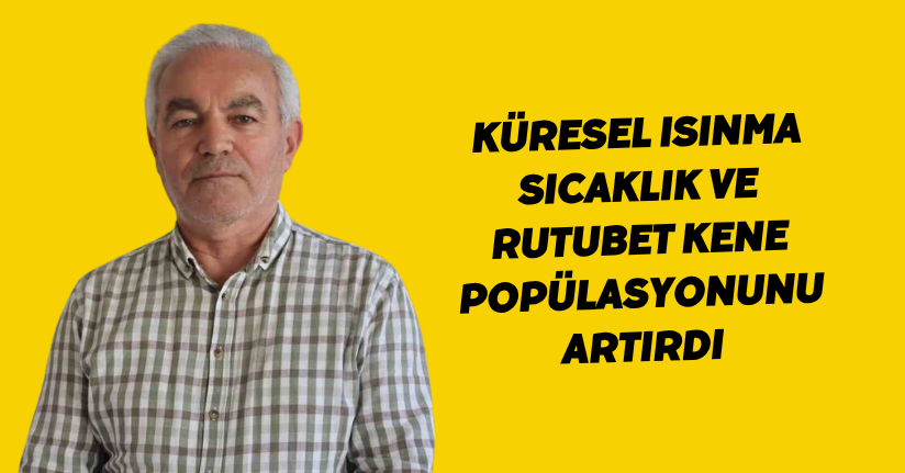 Küresel ısınma, sıcaklık ve rutubet, kene popülasyonunu artırdı