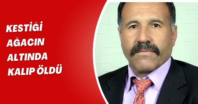 Kestiği ağacın altında kalıp öldü