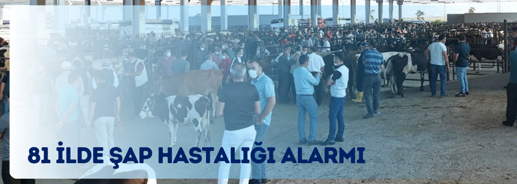 Ülke Genelinde Şap Hastalığı Alarmı