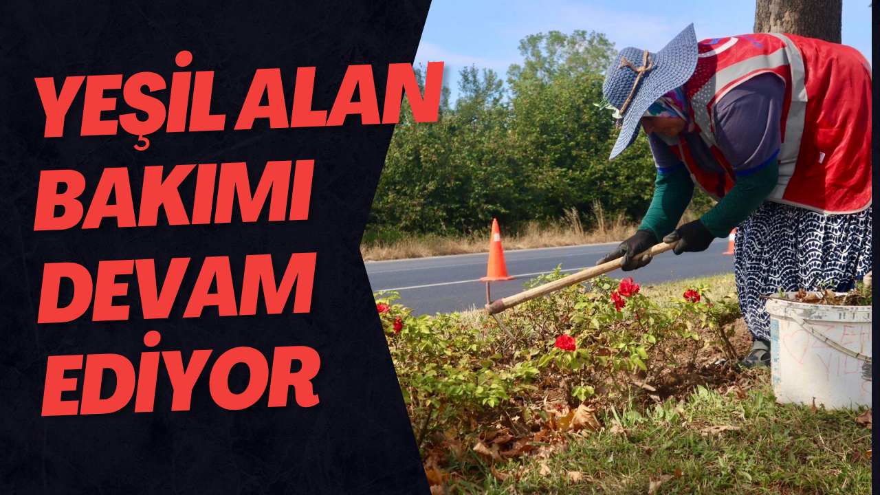 Yeşil Alan Bakımı Devam Ediyor