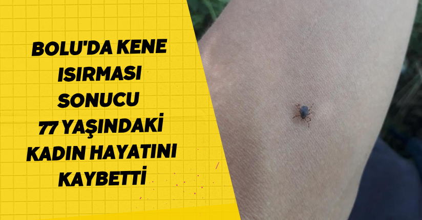 Bolu'da kene ısırması sonucu 77 yaşındaki kadın hayatını kaybetti