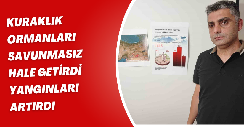 Kuraklık ormanları savunmasız hale getirdi, yangınları artırdı