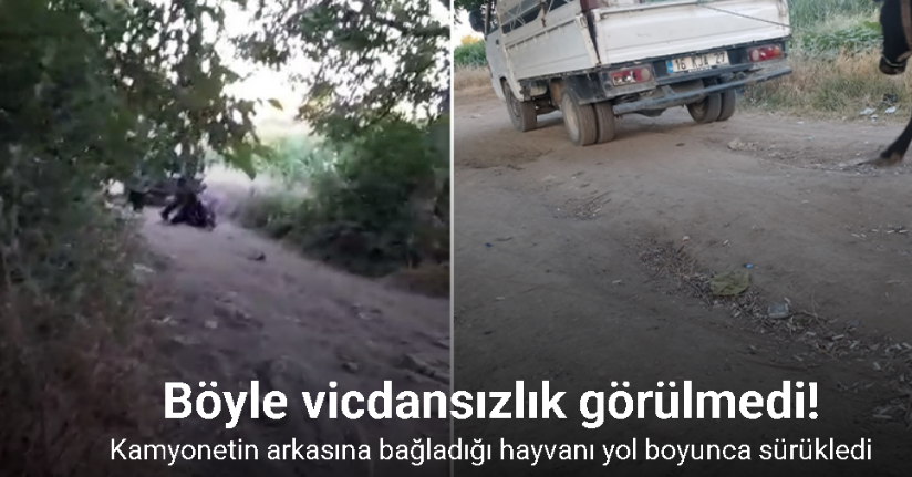 Böyle vicdansızlık görülmedi