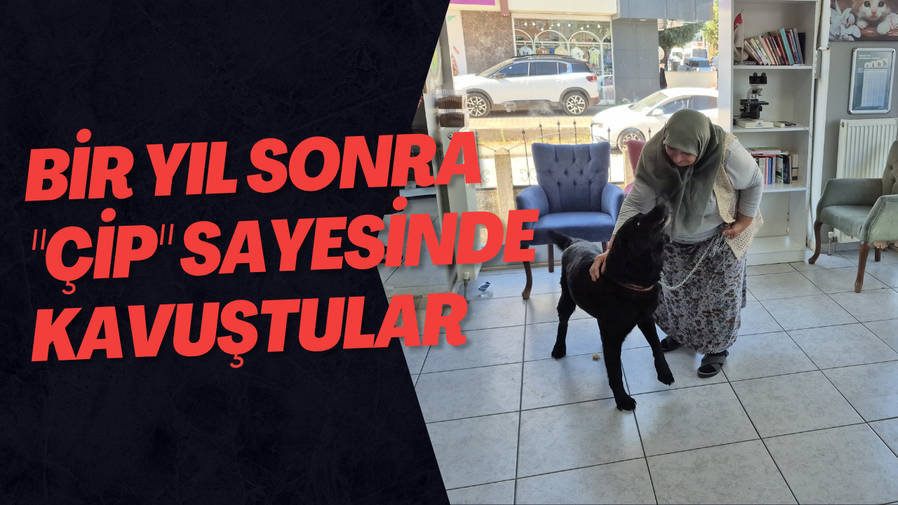 Bir Yıl Sonra 