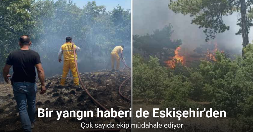 Seyitgazi'de orman yangınına ekiplerin müdahalesi başladı