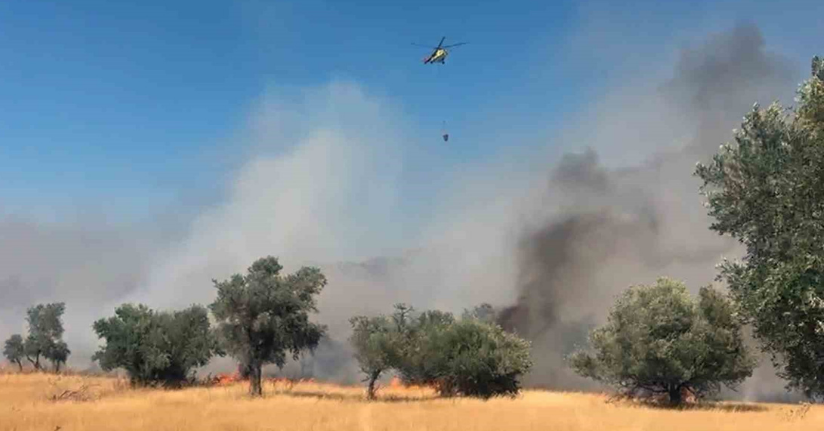 Milas Pınarcık yangınına 5 helikopter 4 uçak müdahale ediyor