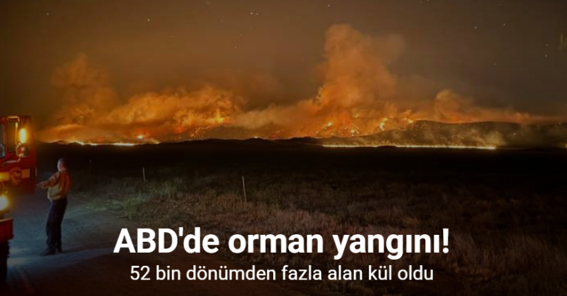 ABD'de orman yangını: 52 bin dönümden fazla alan kül oldu