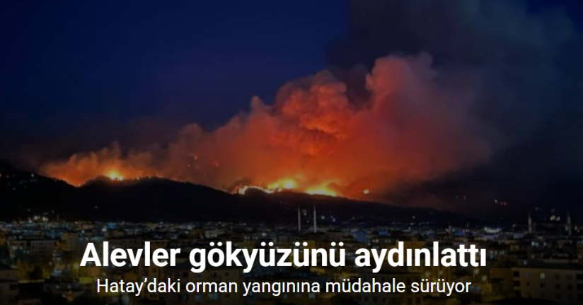 Hatay’daki orman yangınında alevler gökyüzünü aydınlattı
