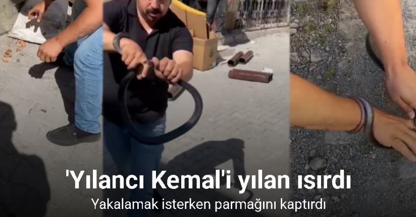 Eve giren yılanı yakalamak isterken parmağını kaptırdı