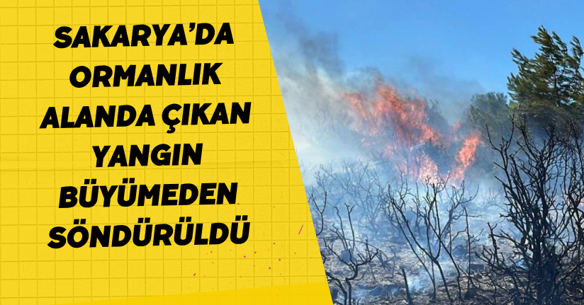  Sakarya’da ormanlık alanda çıkan yangın büyümeden söndürüldü