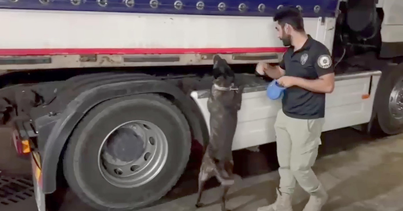 Yabancı plakalı TIR'dan 344 kilo uyuşturucu çıktı