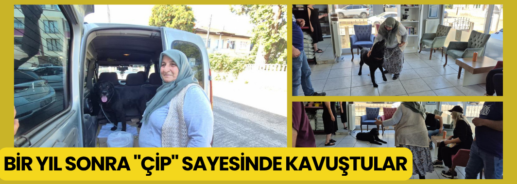 Bir Yıl Sonra 