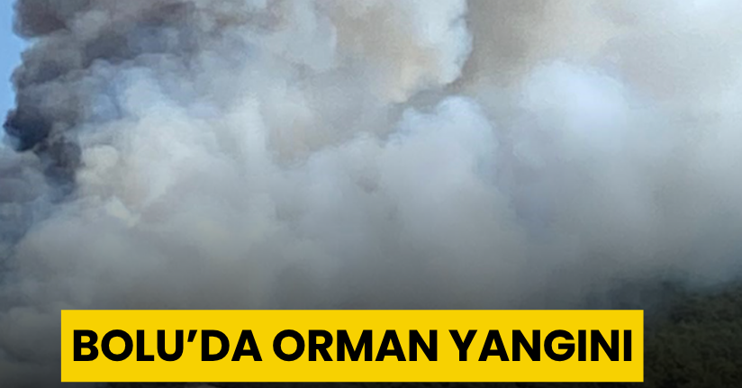 Bolu’da orman yangını