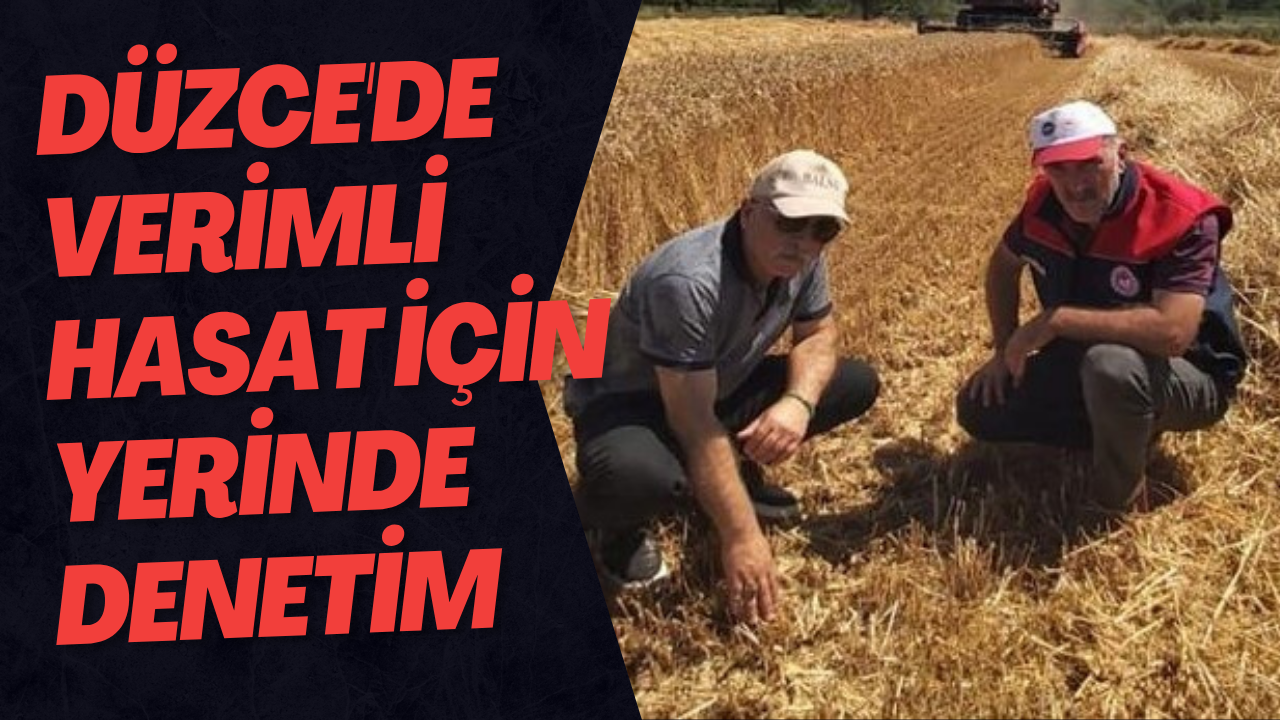 Düzce'de Verimli Hasat İçin Yerinde Denetim