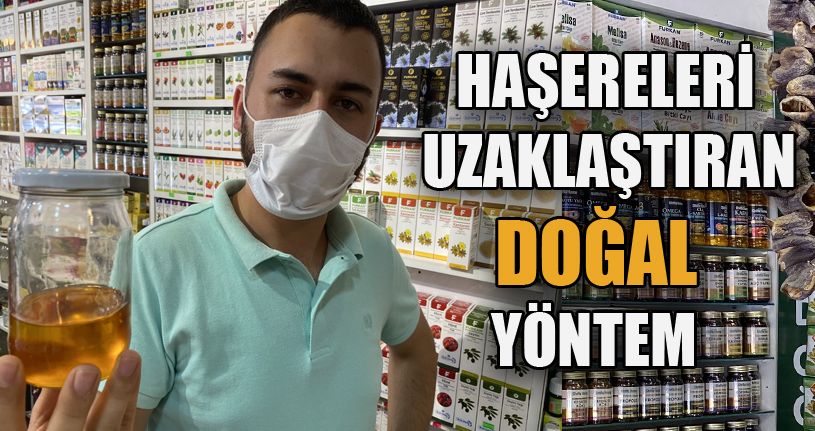 Sinek ve haşereleri uzaklaştıran doğal yöntem