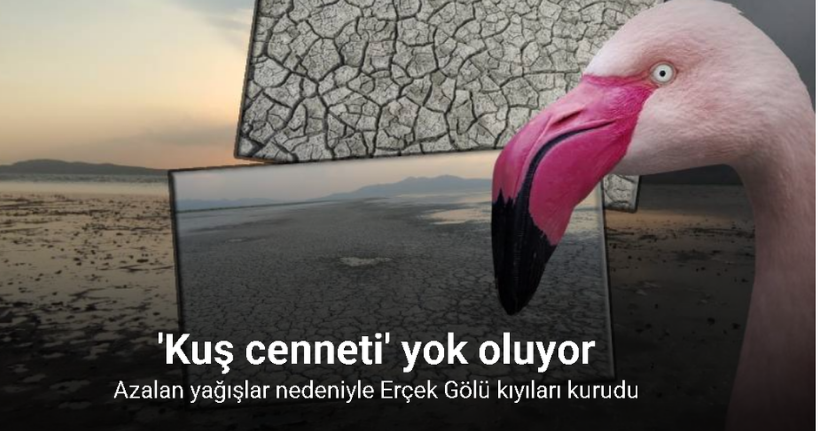 Erçek Gölü'nün kıyıları kuruyor: Uzmanlar uyarıyor